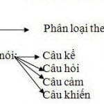 Tiêng Việt Tiểu Học- Bài 5: Khái niệm Câu