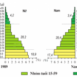 Bài 5: Thực hành phân tích và so sánh tháp dân số năm 1989 và 1999
