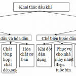 Bài 40: Thực hành đánh giá tiềm năng kinh tế các đảo ven bờ và CN dầu khí ( địa 9 )